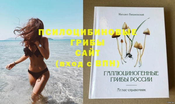 не бодяженный Киренск