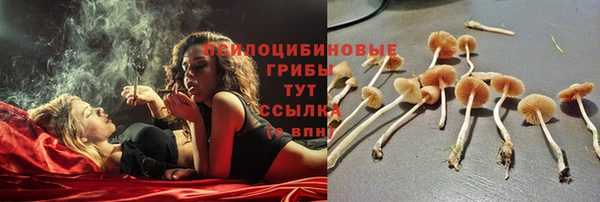 не бодяженный Киренск