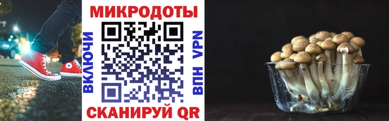 Купить закладки  Дно  Галлюциногенные грибы Magic Shrooms 